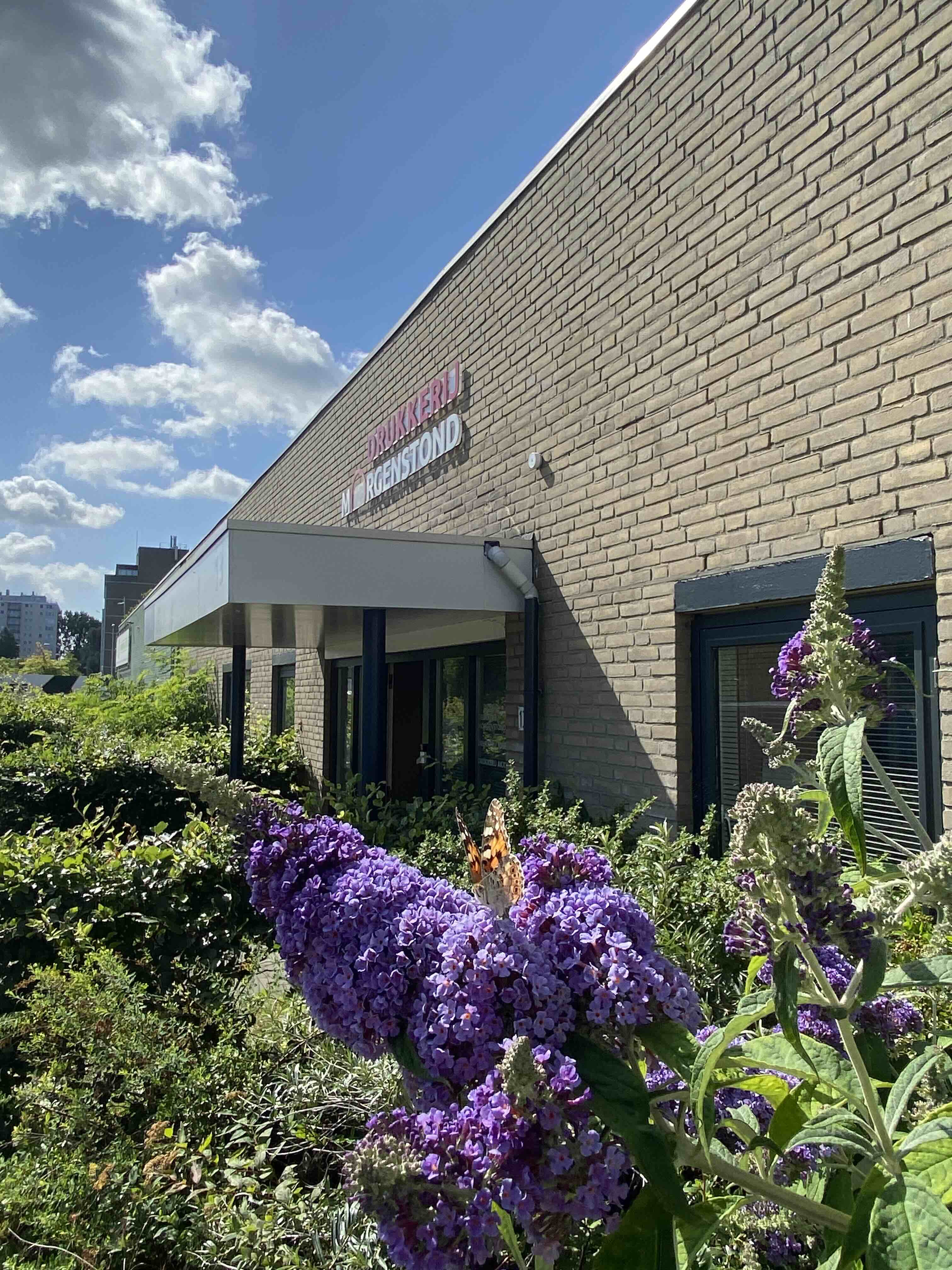 vlinders in plaats van stenen